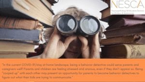 Becoming a Behavior Detective - NESCA