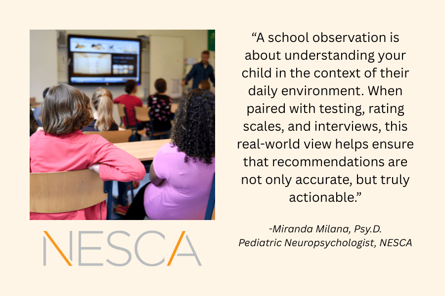 image of adults observing a school classroom