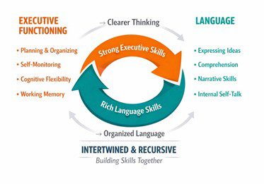 image showing the recursive nature of EF and language skills