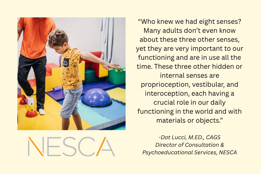 Image of child working in an OT session on balance and movement; quote from Dot Lucci of NESCA