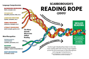 Literacy & Language: Intertwined Systems Through the Lens of ...