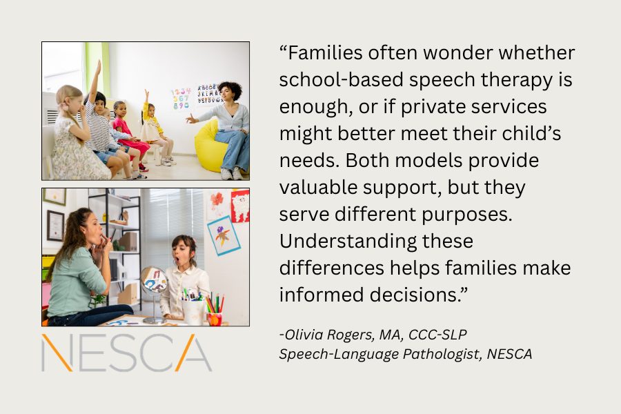 image of multiple students in a school based speech session vs a private one on one session