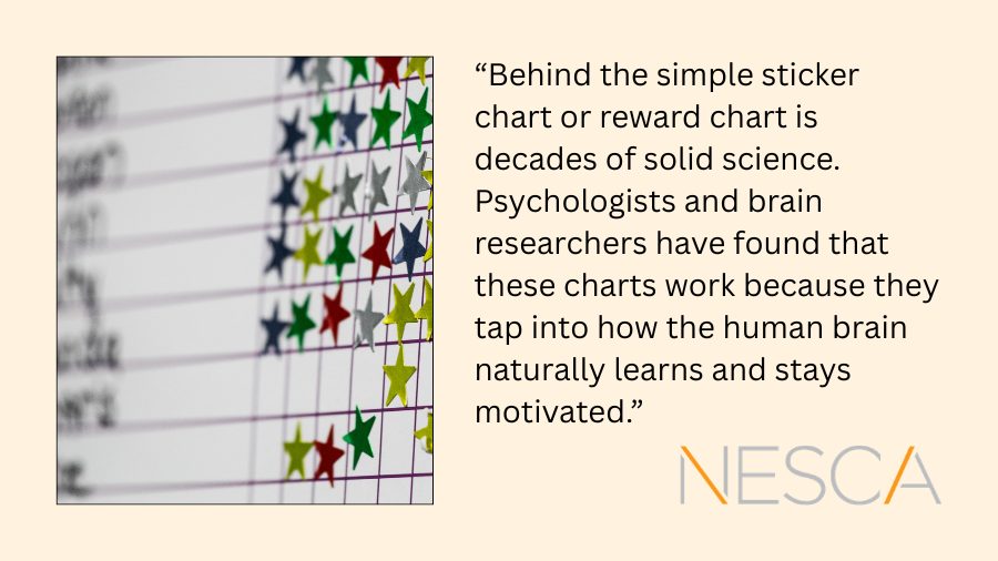 Image of a reward chart and quote from NESCA