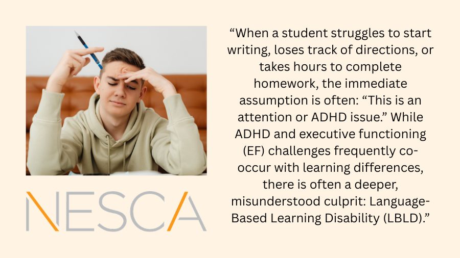 Image of a student having a hard time initiating homework. Quote from a NESCA clinician.